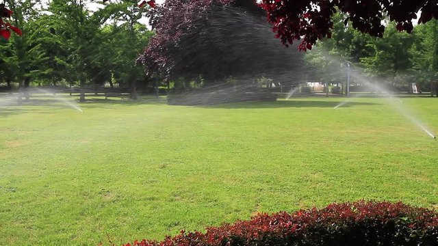 Riego por aspersion en un parque publico con hierba verde setos y arboles de distintas  especies
