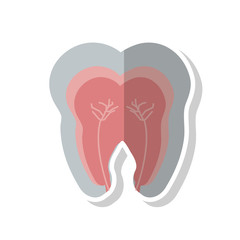 Tooth icon. Dental medical and health care theme. Isolated design. Vector illustration