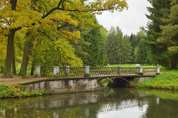 Fototapeta na wymiar Autumn landscape in the Park.