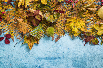 Naklejka na ściany i meble Fall leaves on vibrant background