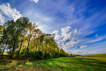 Fabulous cloudscape with beautiful trees, Armenia