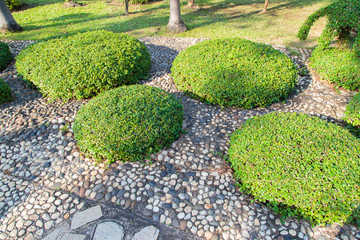 Beautiful walkways in the park.
