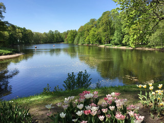 lake in park summer