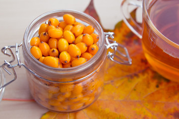 sea-buckthorn berries and autumn leaves, alternative medicine