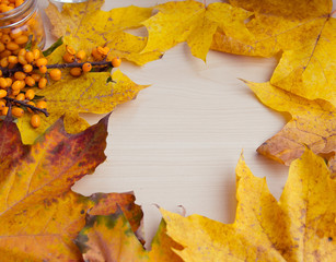 sea-buckthorn berries and autumn leaves, alternative medicine