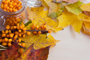 sea-buckthorn berries and autumn leaves, alternative medicine