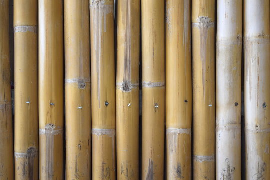 Bamboo tile decoration