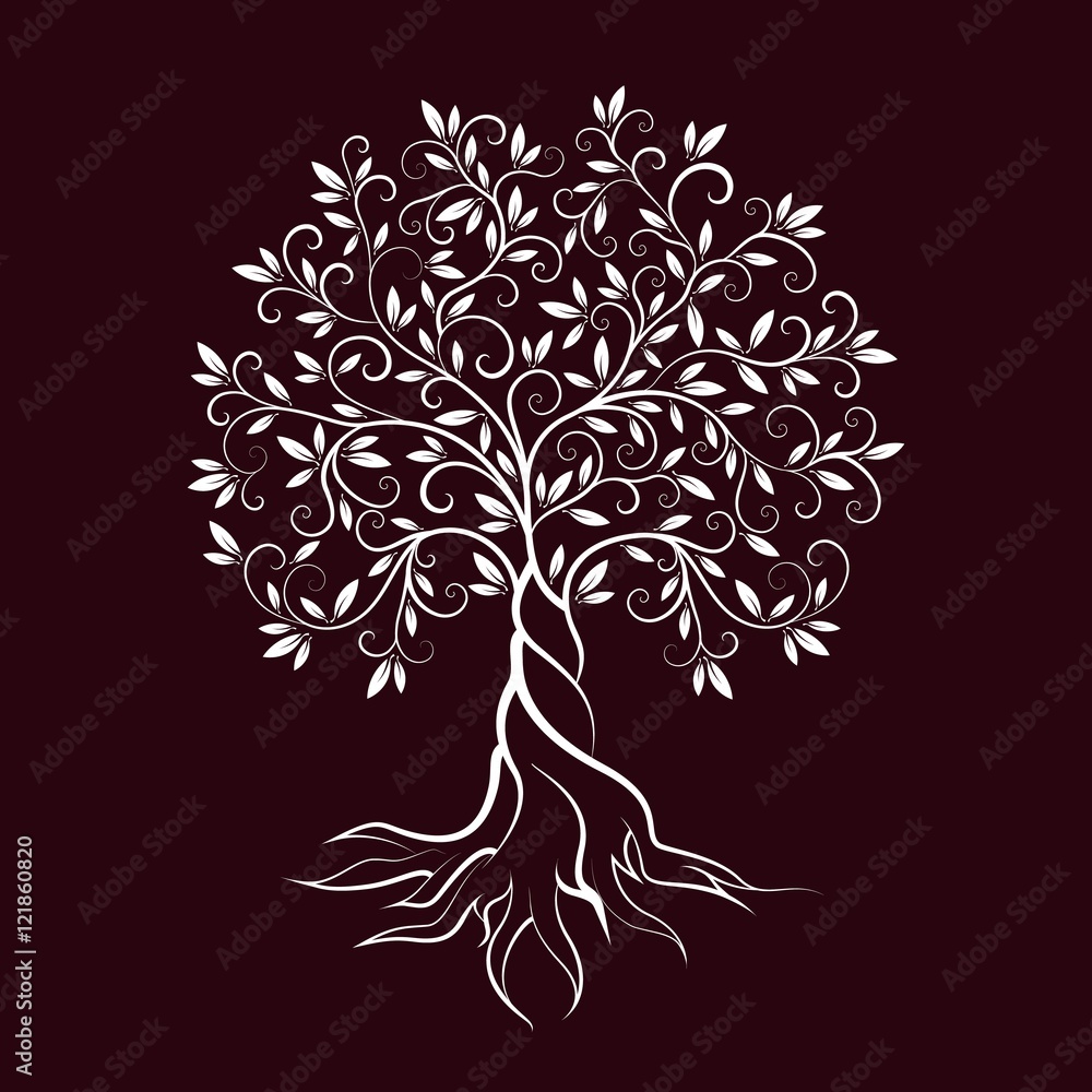 Poster olive tree outline curl silhouette icon