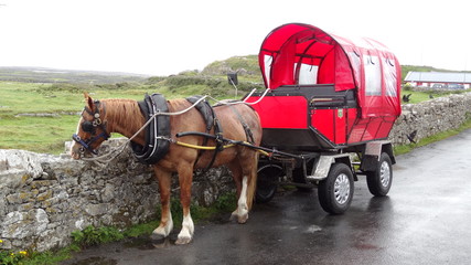Red horse drawn cart along stone wall on Aran Islands in Ireland