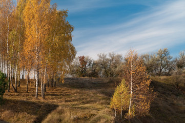 Trees with yellow leaves on the hillside against a blue sky on a sunny day. Autumn landscape.