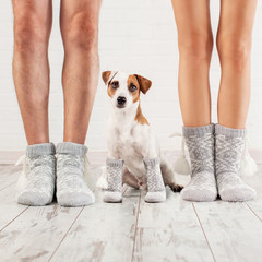 Man, female and dog in socks