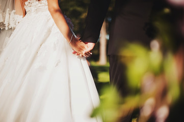 Fototapeta na wymiar Wedding couple bride and groom holding hands each other