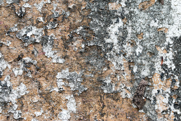 white concrete wall texture