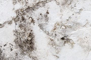 white concrete wall texture