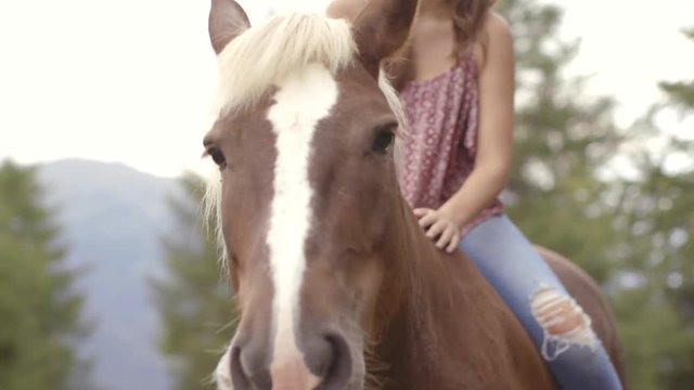 Woman petting horse