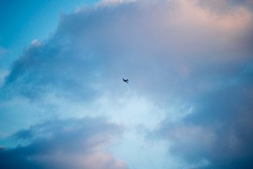 Zlin Z-526F acrobatic airplane flying on cloudy sky