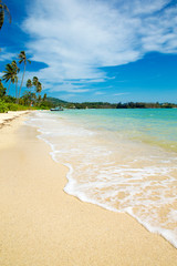 beach and tropical sea