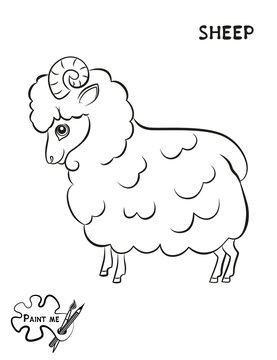 Children's coloring book that says Paint me. Sheep