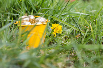 Easter eggs in spring sunny day, Luxembourg