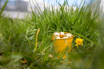Easter eggs in spring sunny day, Luxembourg