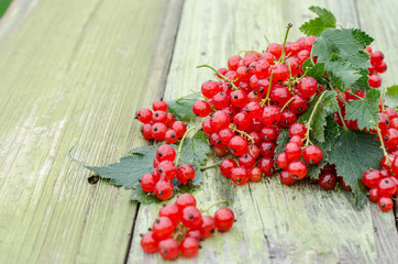 Fresh red currants on green rustic wooden table