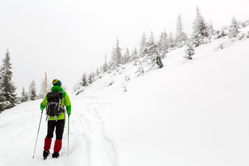 Winter hike in white woods when snowing