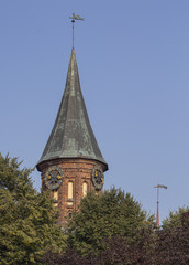 Tower Konigsberg Cathedral and Jasmine. Symbol of Kaliningrad