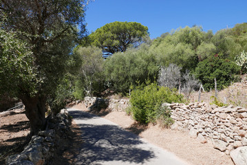 sejour en Corse
