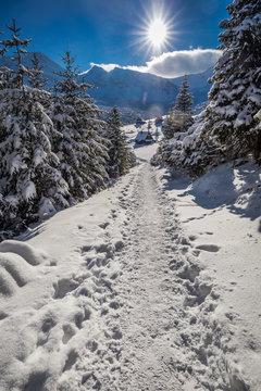 Fototapeta Winter trail to the valley gasienicowej at sunset, Tatra, Poland