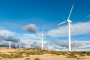 Molinos eólicos