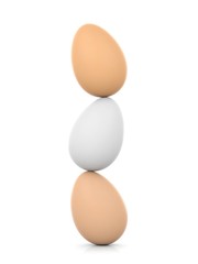Eggs standing on white background. 3d illustration