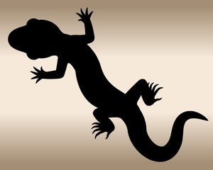 Lizard. The black silhouette of a reptile. 
