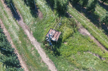 The well in the apple orchard, top view.