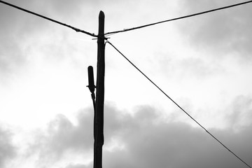 Poste de teléfono a contraluz, en blanco y negro.
