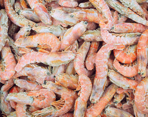 Frozen giant shrimps on fish market, view from top, fits as background
