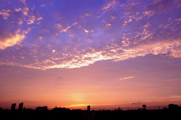 輝く鱗雲