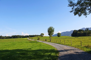 Der Weg ins Grüne und in die Berge