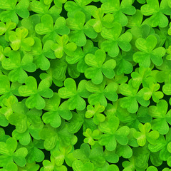 Green clovers leaves field vector seamless pattern