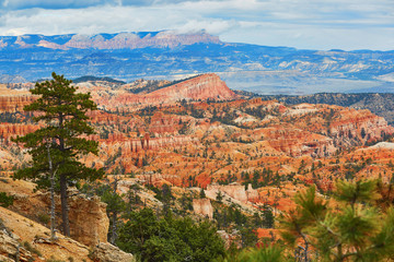 Fototapeta na wymiar Red sandstone hoodoos in Bryce Canyon National Park in Utah, USA