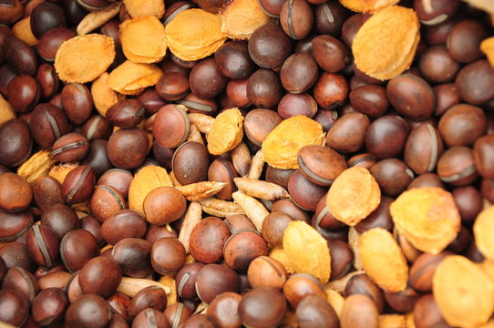 Macro picture with details of etails of different seeds.