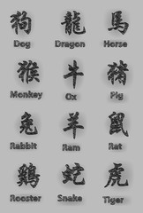 Chinese Calligraphy Zodiac Pen Shading Design Set