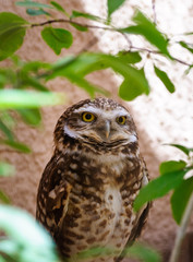 Living Desert Zoo Gardens State Park