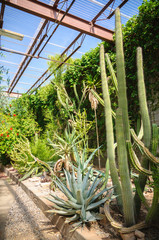 Living Desert Zoo Gardens State Park