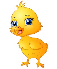 Cute baby chicken cartoon

