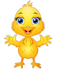 Cute baby chicken cartoon