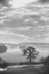 Landscape of english countryside with trees, fog and stream