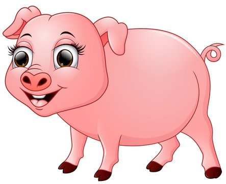 Cute baby pig cartoon isolated on white background