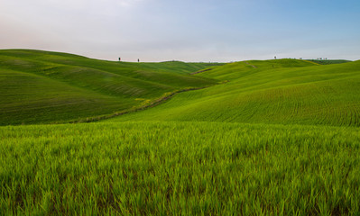 Tuscan countryside