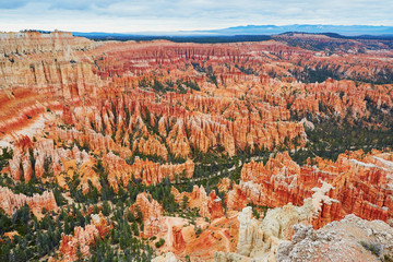 Red sandstone hoodoos in Bryce Canyon National Park in Utah, USA