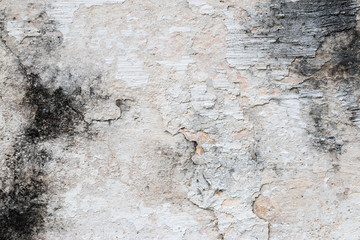 white concrete wall texture